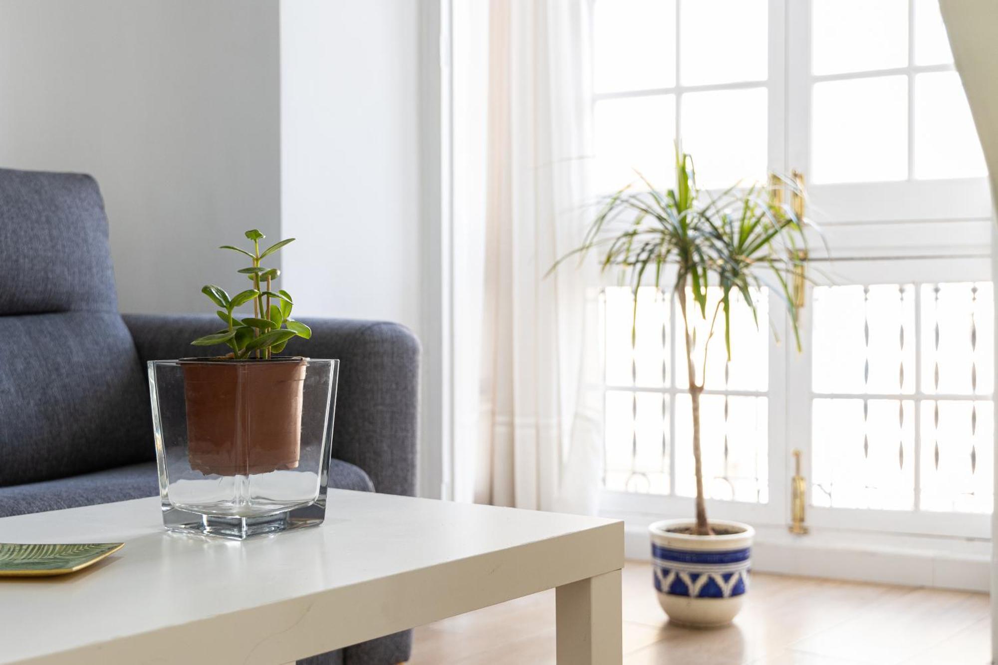 Apartamento Jacaranda Malaga Ngoại thất bức ảnh